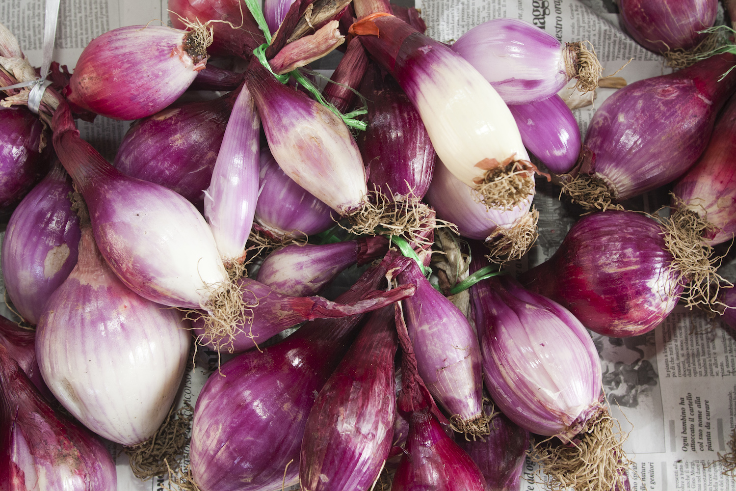 This Revered Calabrian Allium Should Have a Place at Your July Table