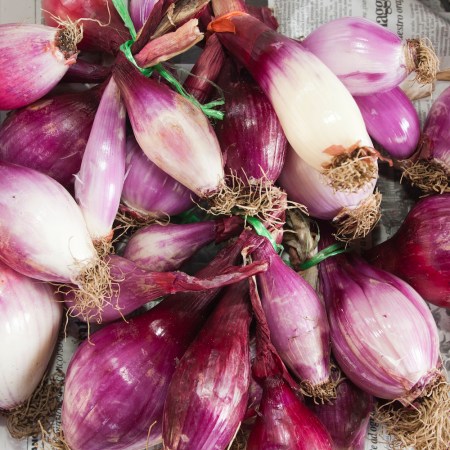 Onions on newspaper From Tropea Market Old Town Crotone Calabria Italy