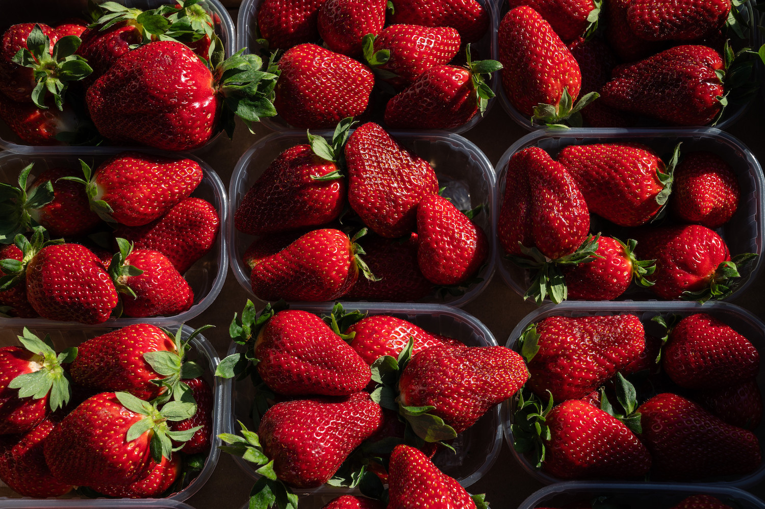 pints of strawberries in black containers