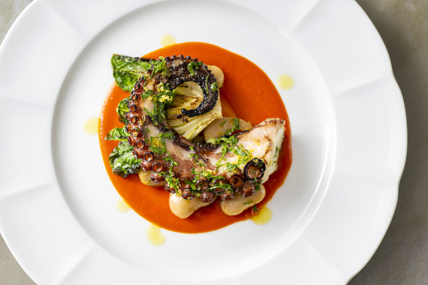 a tentacle of grilled octopus on a white plate with a red sauce