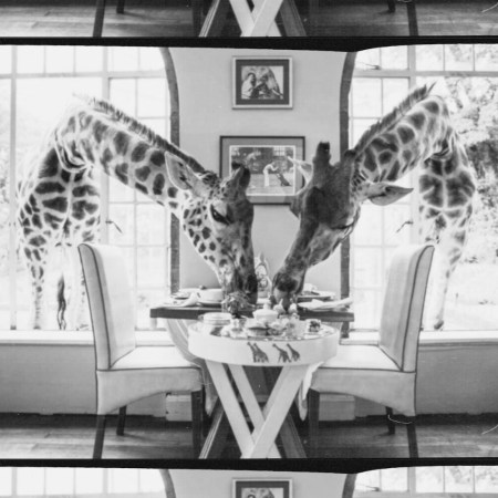 A table for two at Giraffe Manor