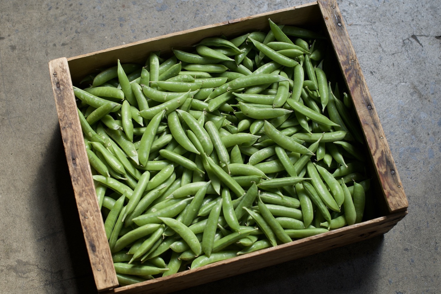 a wooden box of snap peas on a concrete floor