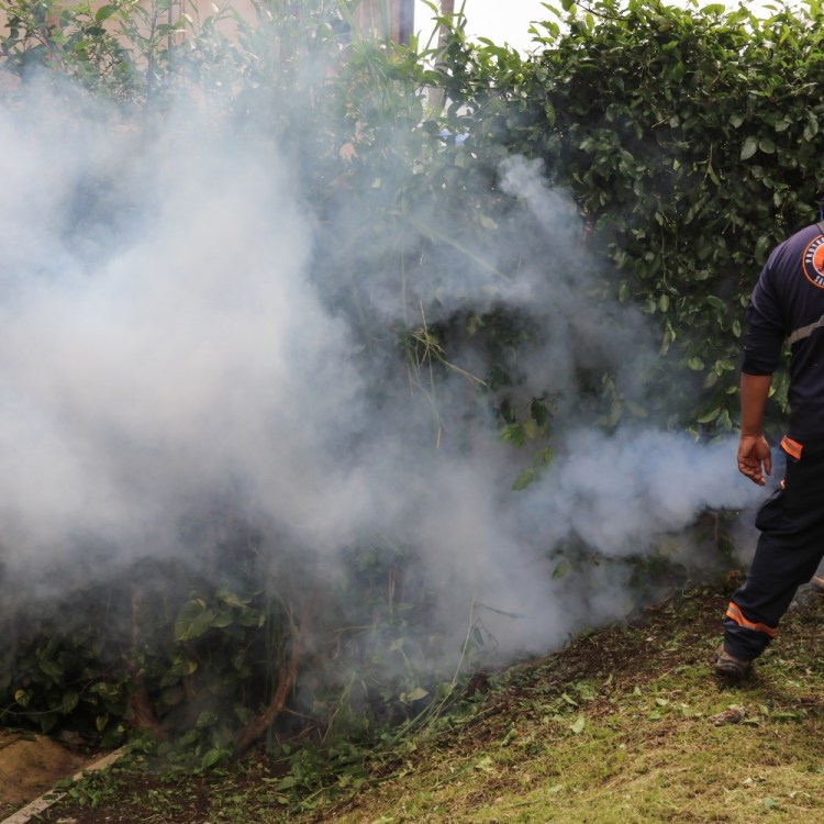 Fumigating efforts to combat dengue fever.