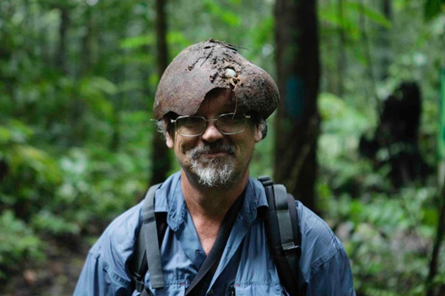 Alan Carle, the tropical fruit collector behind the Botanical Ark in Australia