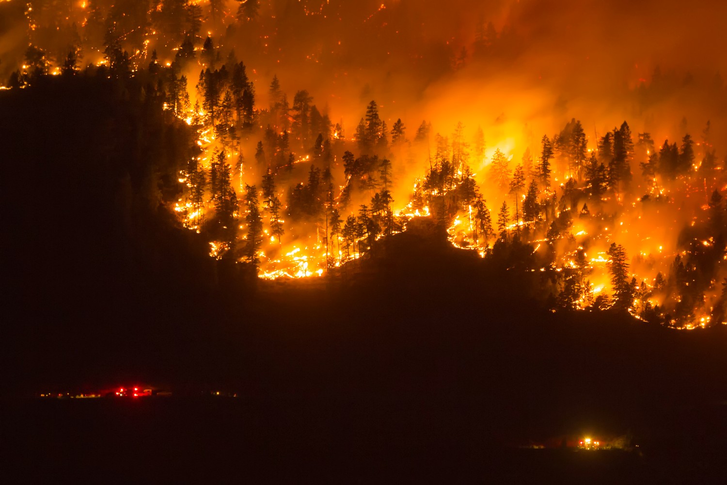 Are Wildfires Raising Homeowners  Insurance Rates in California?