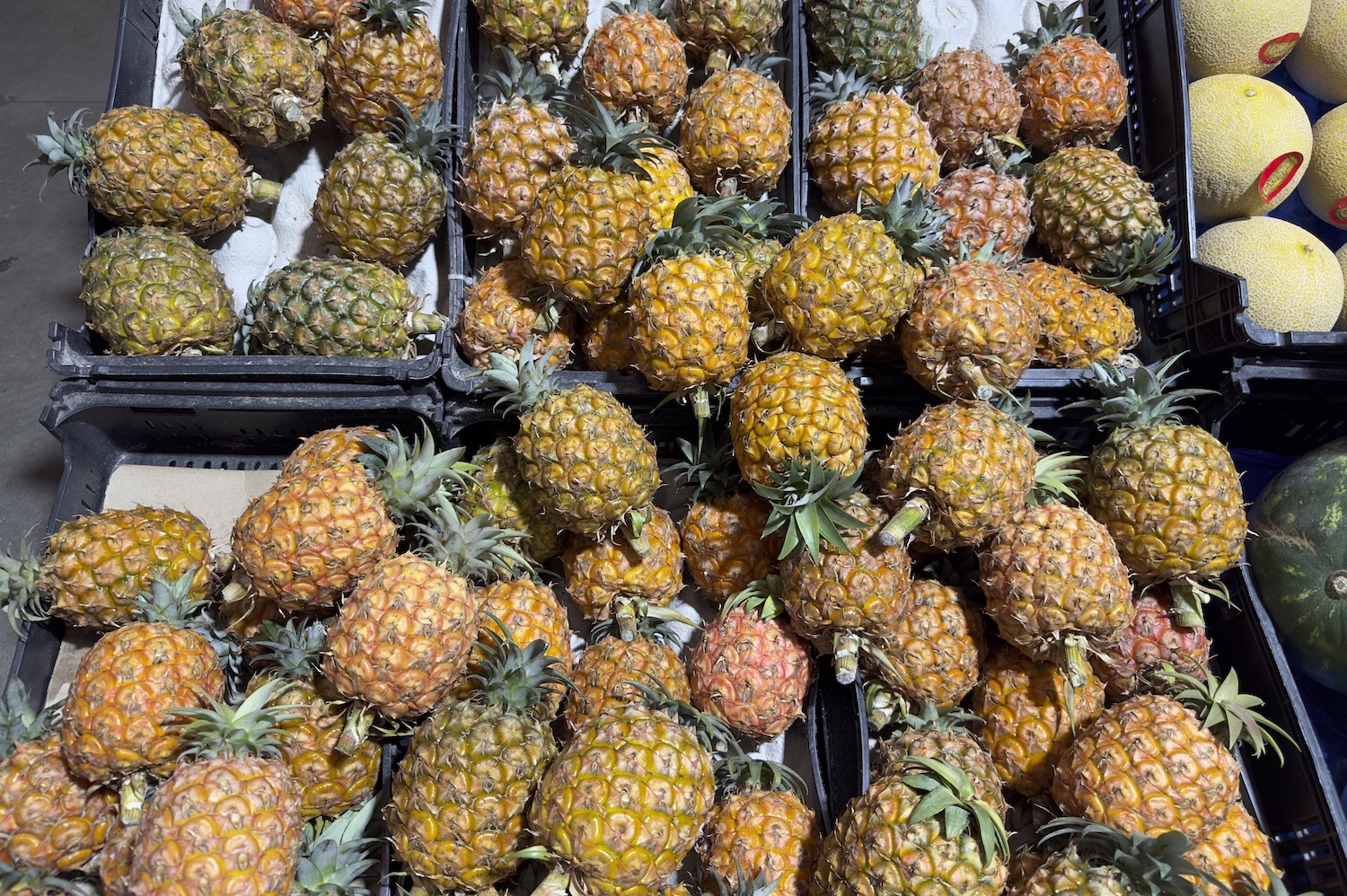 local pineapples at Mercado da Graça