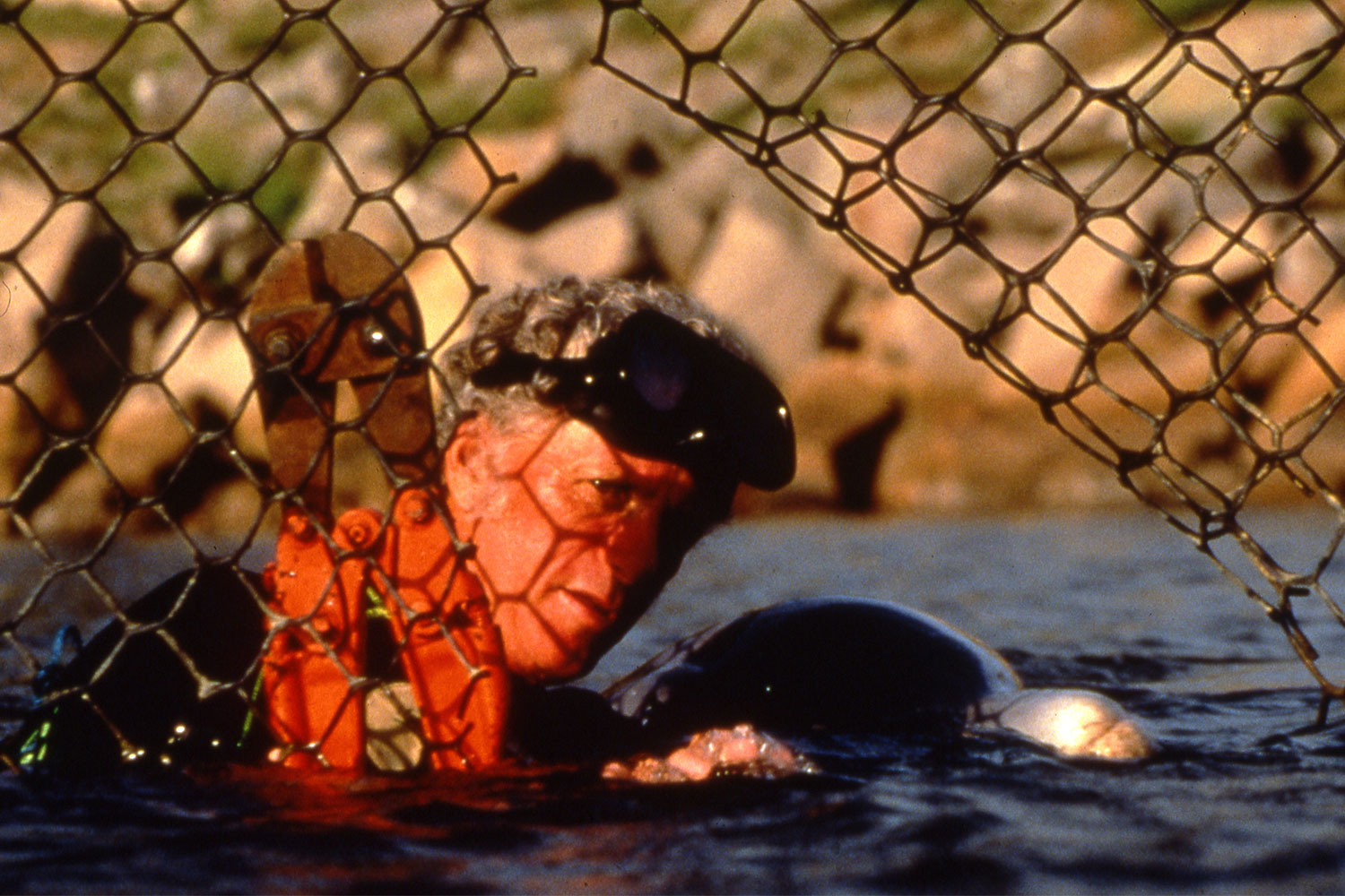 Ric O'Barry cutting a fence and releasing a dolphin named Flipper back into the wild in Brazil in 1993