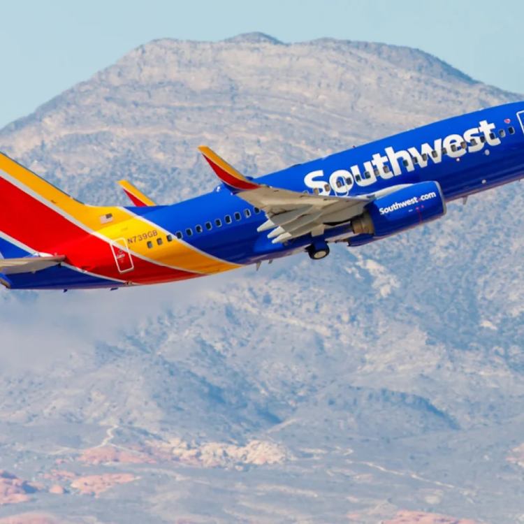 Southwest's fleet is comprised entirely of Boeing 737 jets