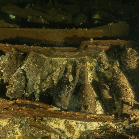 Shipwreck bottles