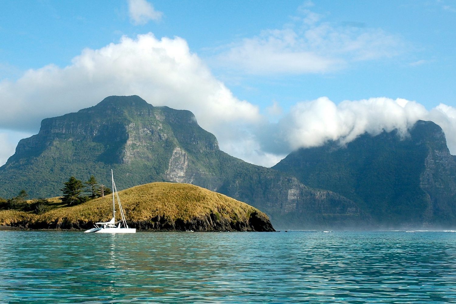 Lord Howe Island boasts some of the richest biomes on Earth in terms of biodiversity