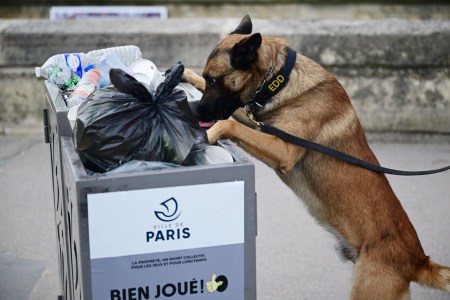 Paris police dog