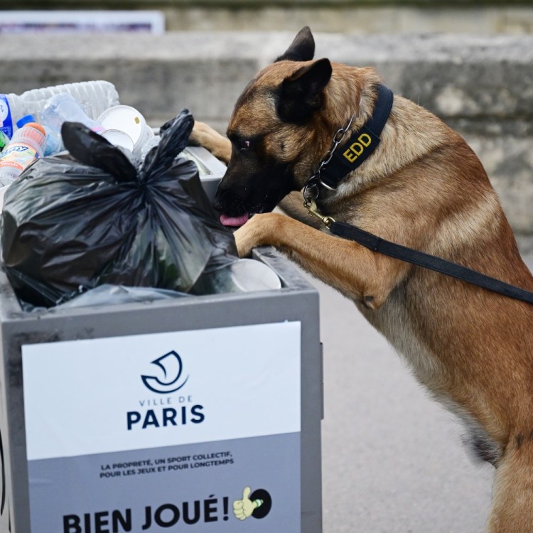 Paris police dog