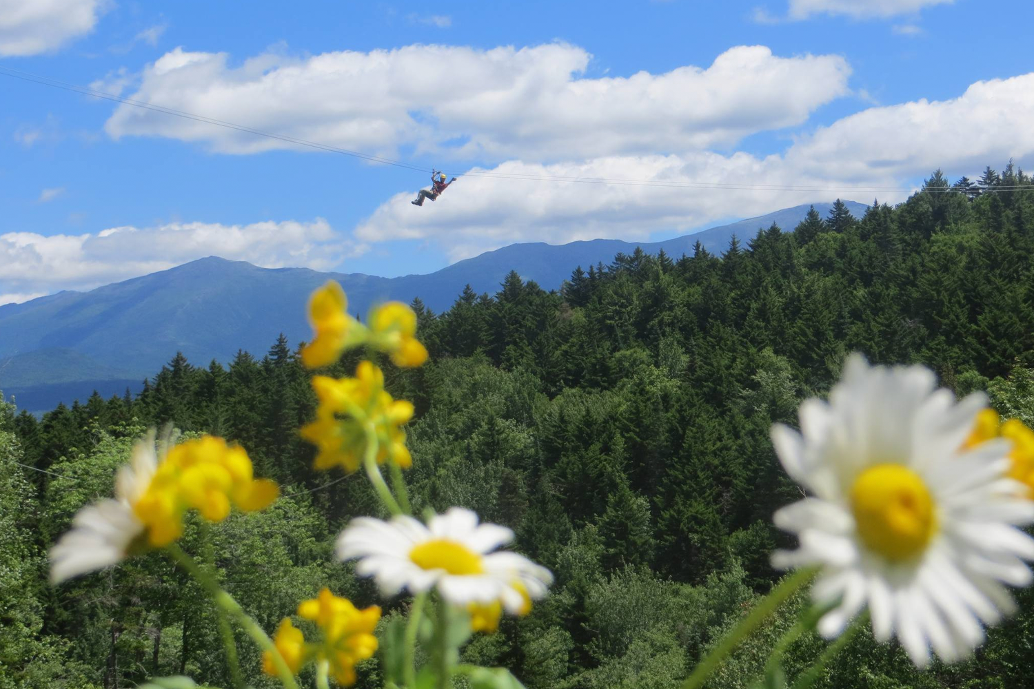 The canopy tour comprises nine ziplines, two sky bridges and three rappels.