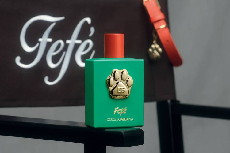 A bottle of Fefé perched atop the real Fefé's Director's Chair