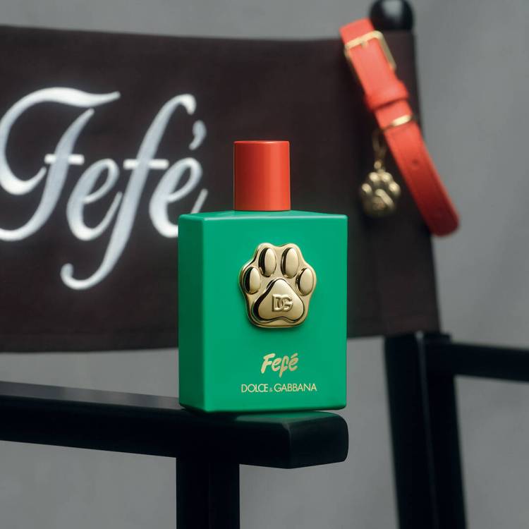 A bottle of Fefé perched atop the real Fefé's Director's Chair