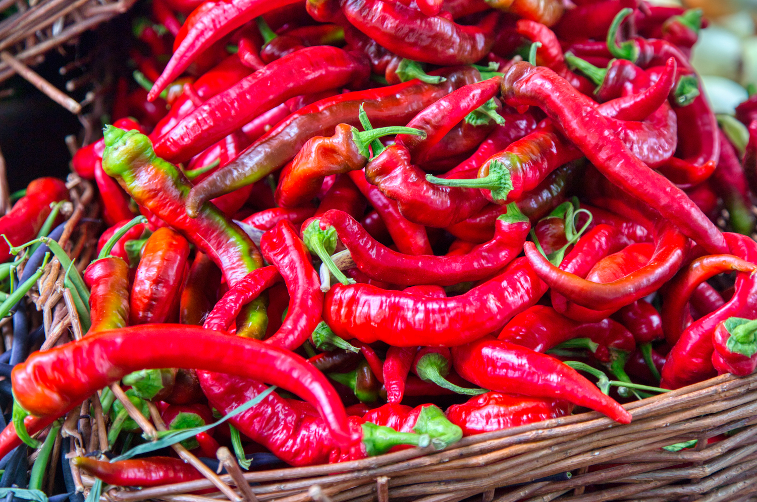 basket of Farmer's market Jimmy Nardello Pepper peppers