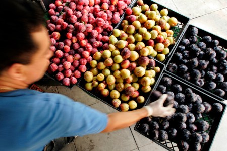 The Farmers Market is the purest bastion of community in Los Angeles