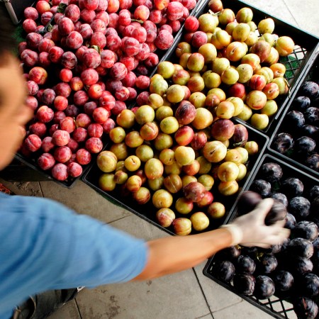 The Farmers Market is the purest bastion of community in Los Angeles