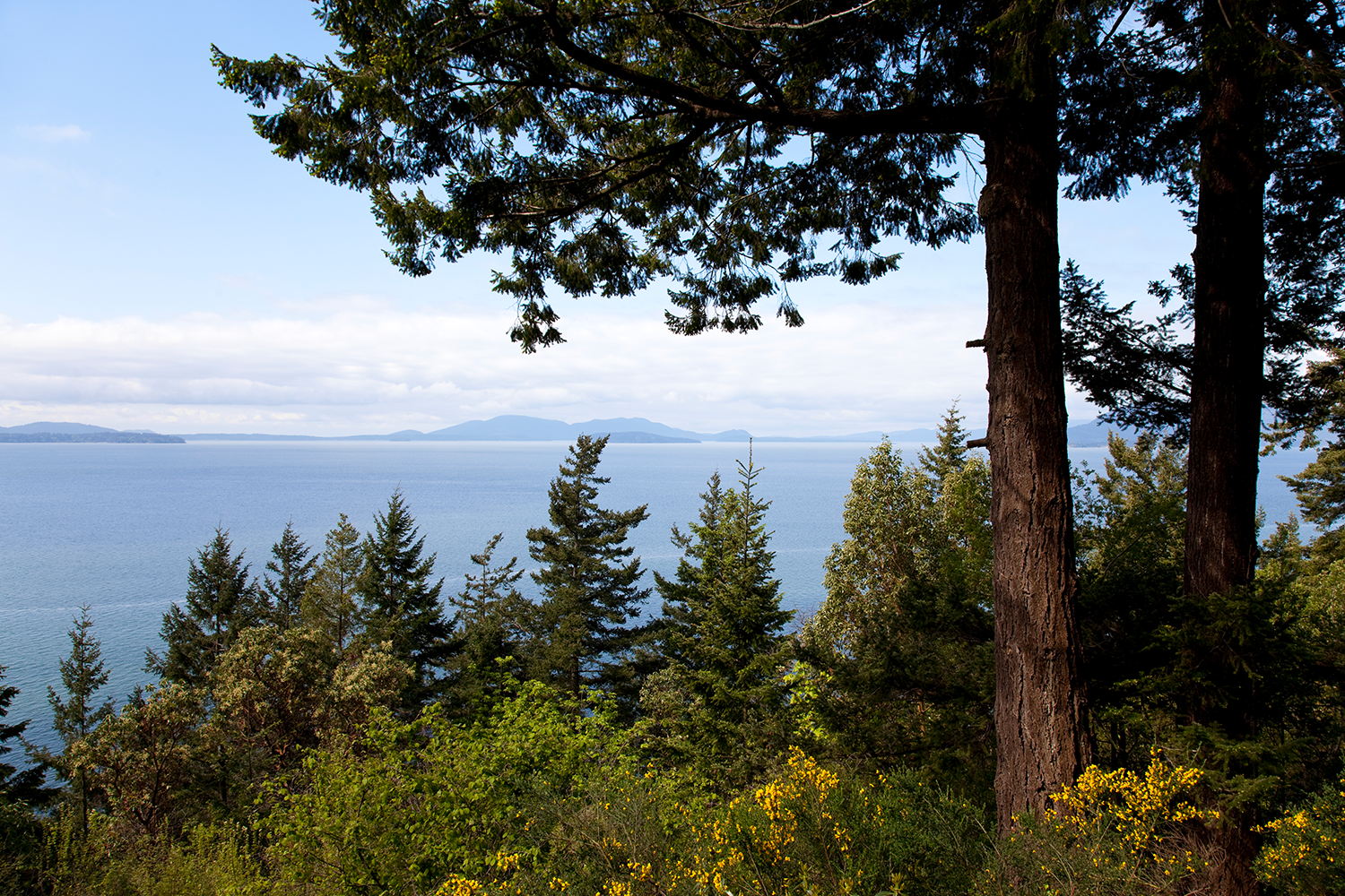 Larrabee State Park is located on Samish Bay, on the western side of Chuckanut Mountain.