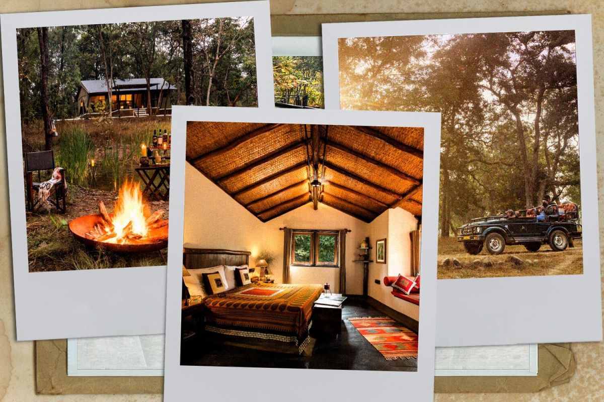 Experience sustainable safari chic at the Reni Pani Jungle Lodge