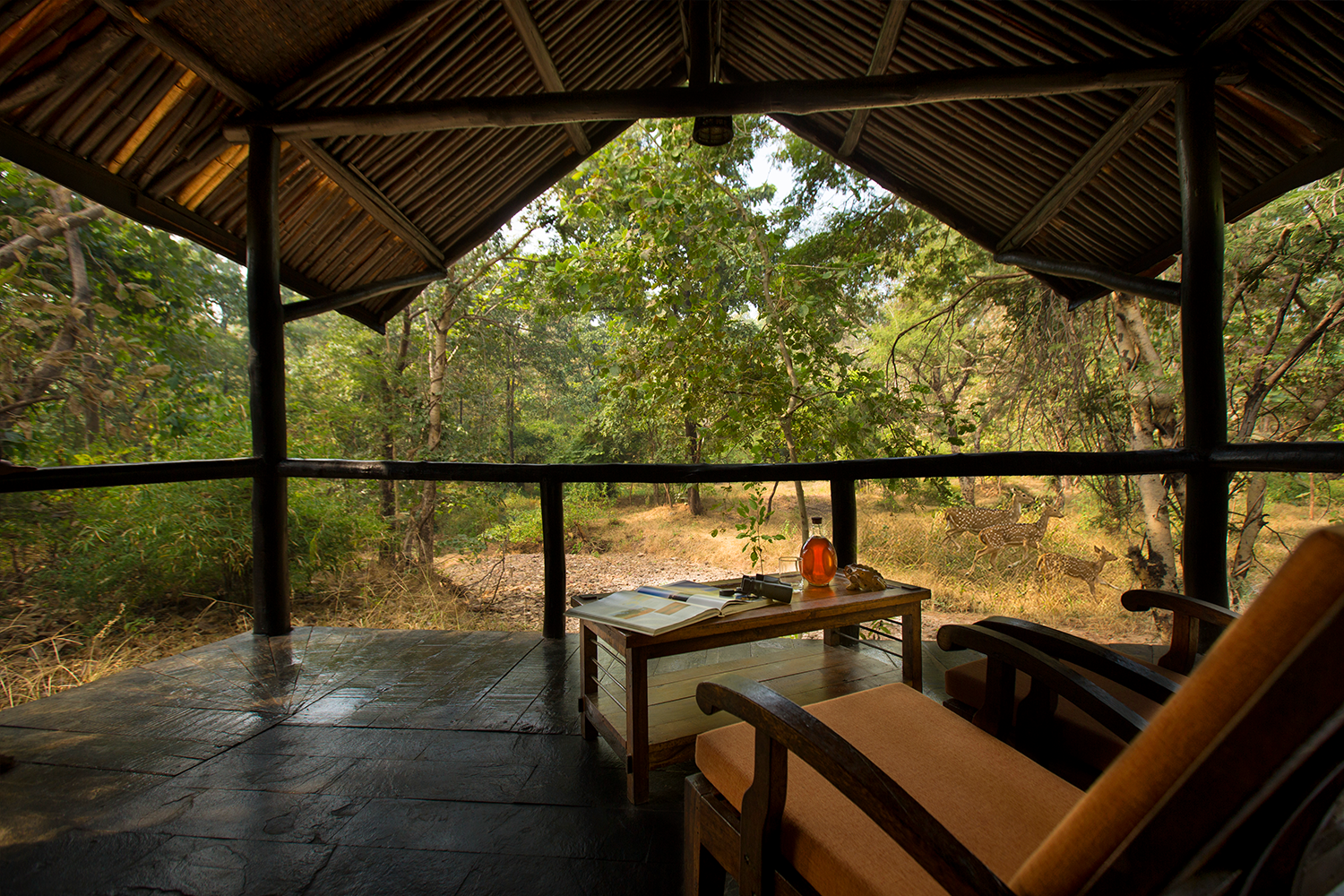 A typical view at Reni Pani Jungle Lodge