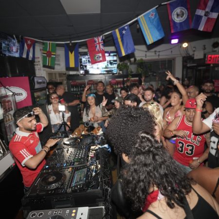 A DJ playing music at a party, with a crowd of people dancing along.