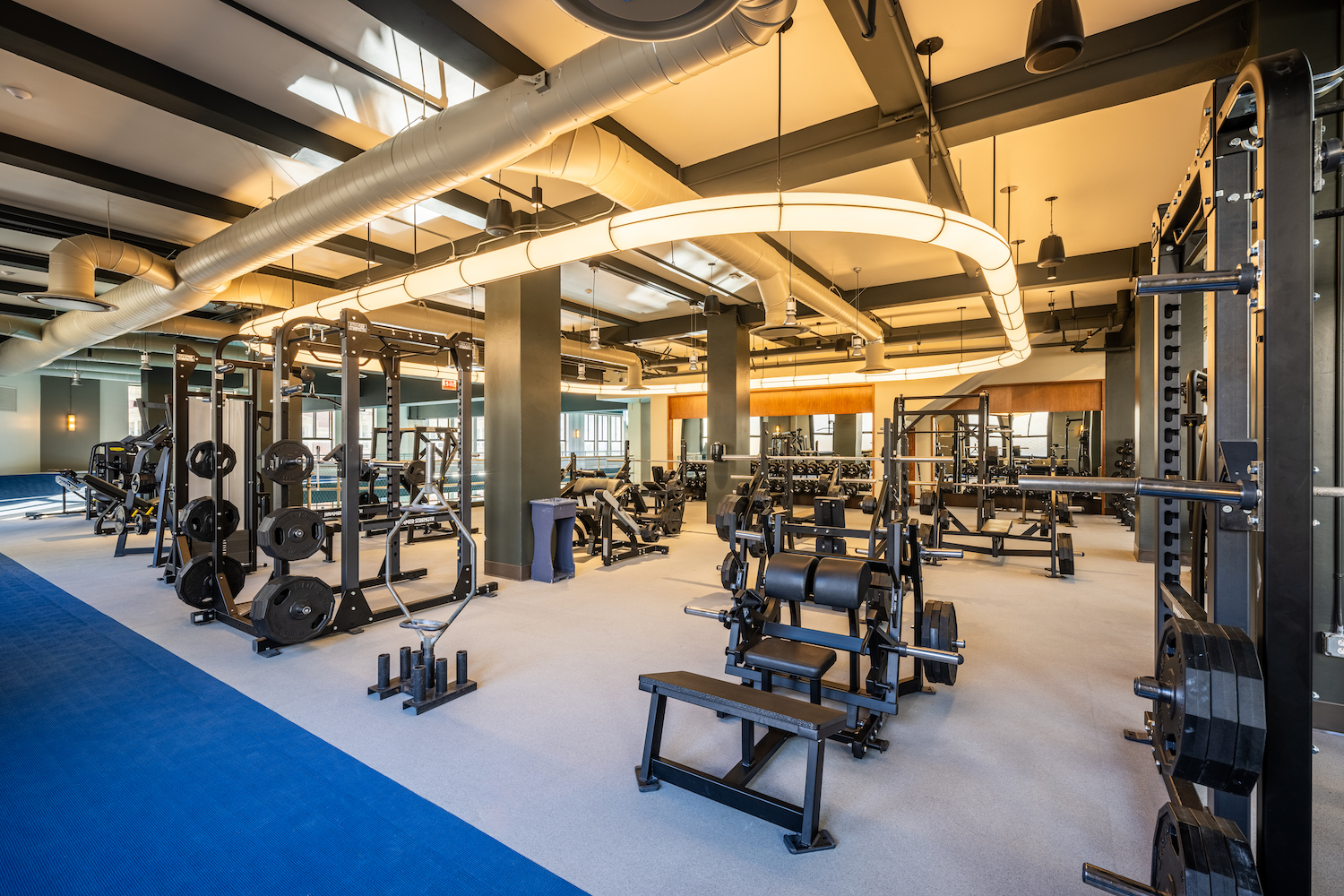 a new carpeted gym with high ceilings and weight-training machines