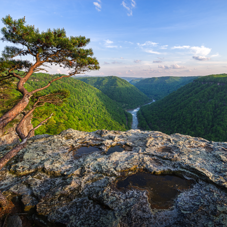 Along the cliff lines of Beauty Mountain in New River Gorge