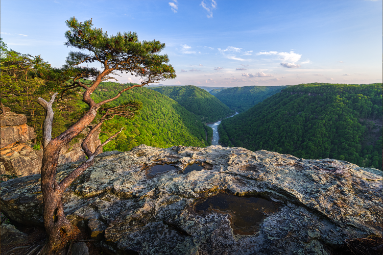 Along the cliff lines of Beauty Mountain in New River Gorge