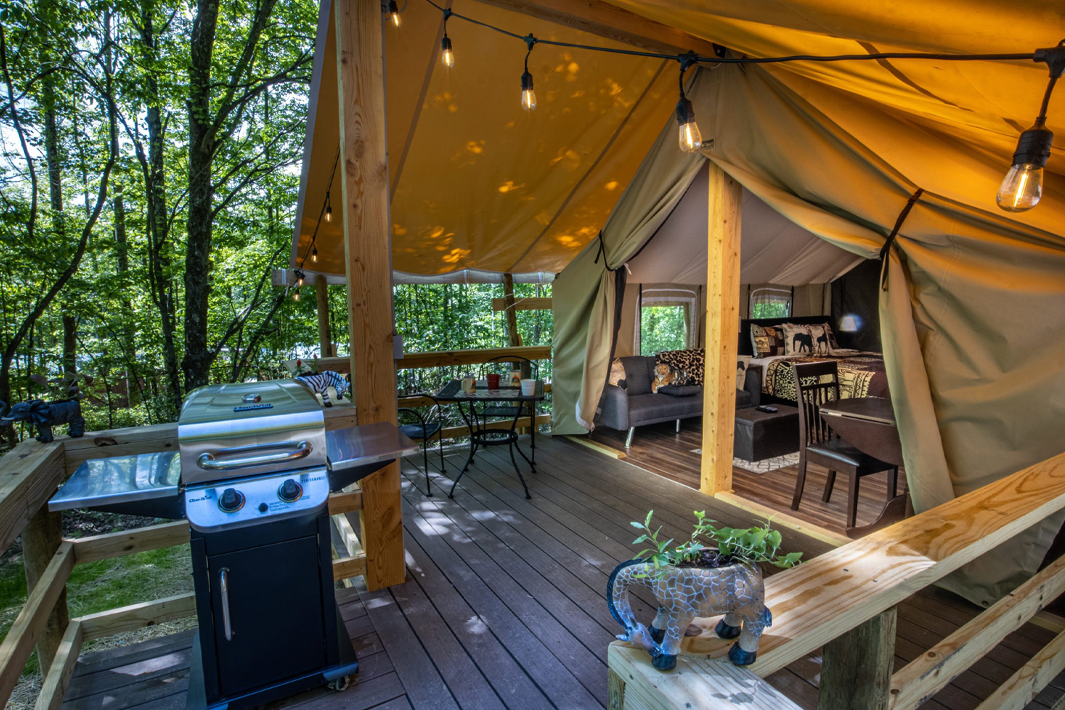 Country Road Cabins' new African themed luxury glamping tent “Safari Sun”