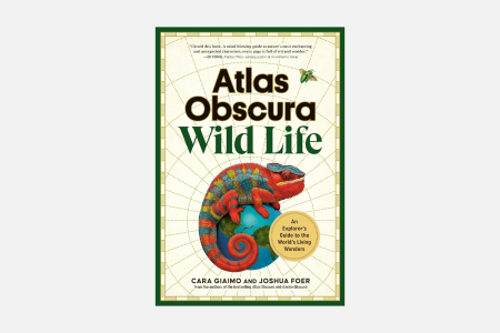 Atlas Obscura: Wild Life