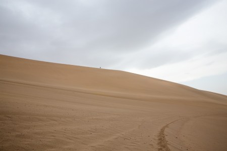 Gobi Desert