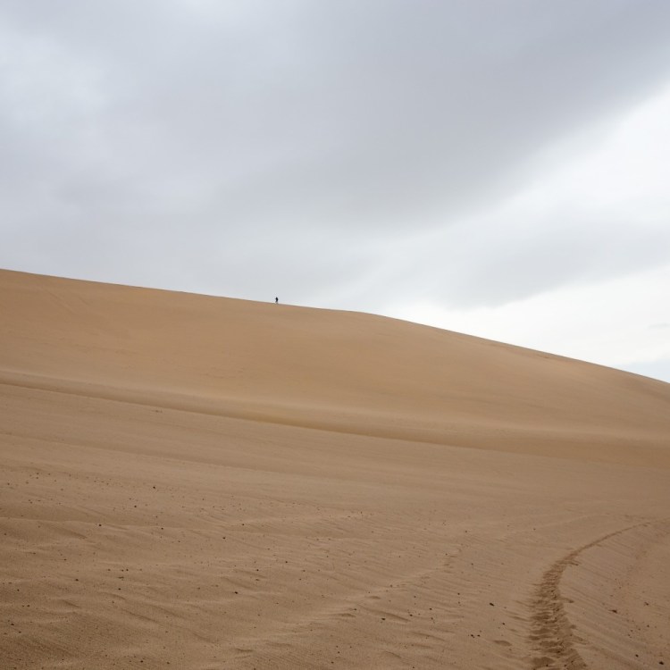 Gobi Desert