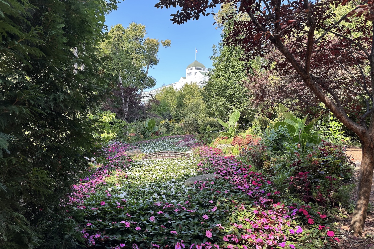 Grand Hotel's sun-dappled secret garden