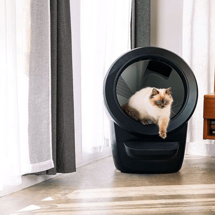 This ultra-high tech litter box makes life easier