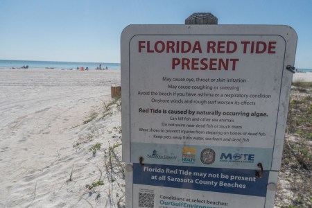 Red tide warning sign