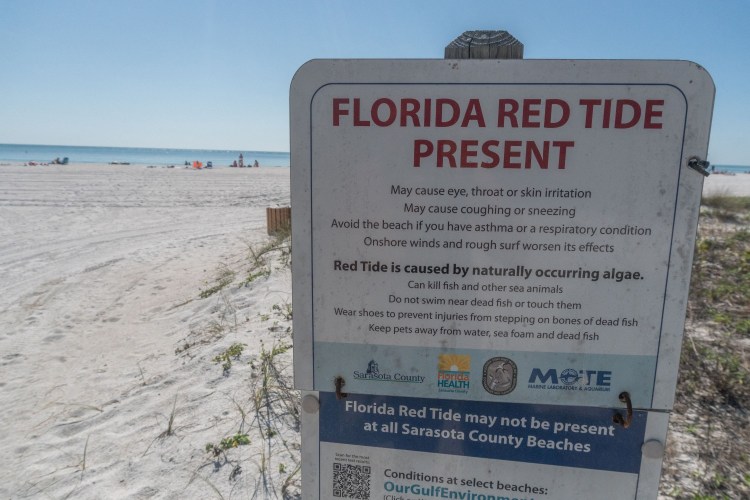 Red tide warning sign