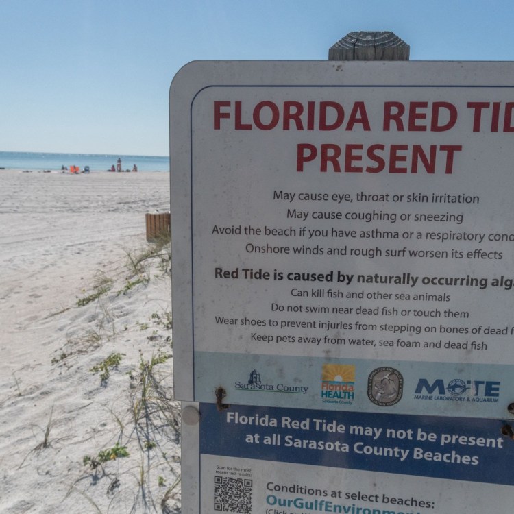 Red tide warning sign