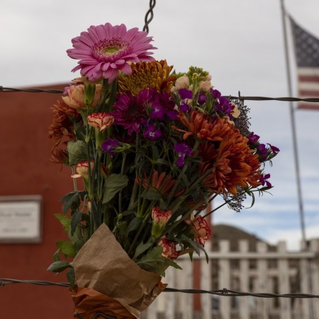 Flowers near the "Rust" set