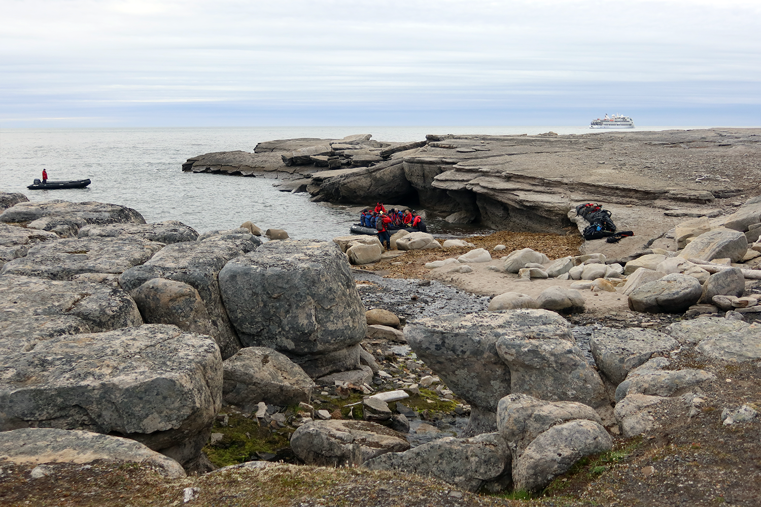 Aurora Expeditions strives to ensure that the wildlife is never impacted by their presence