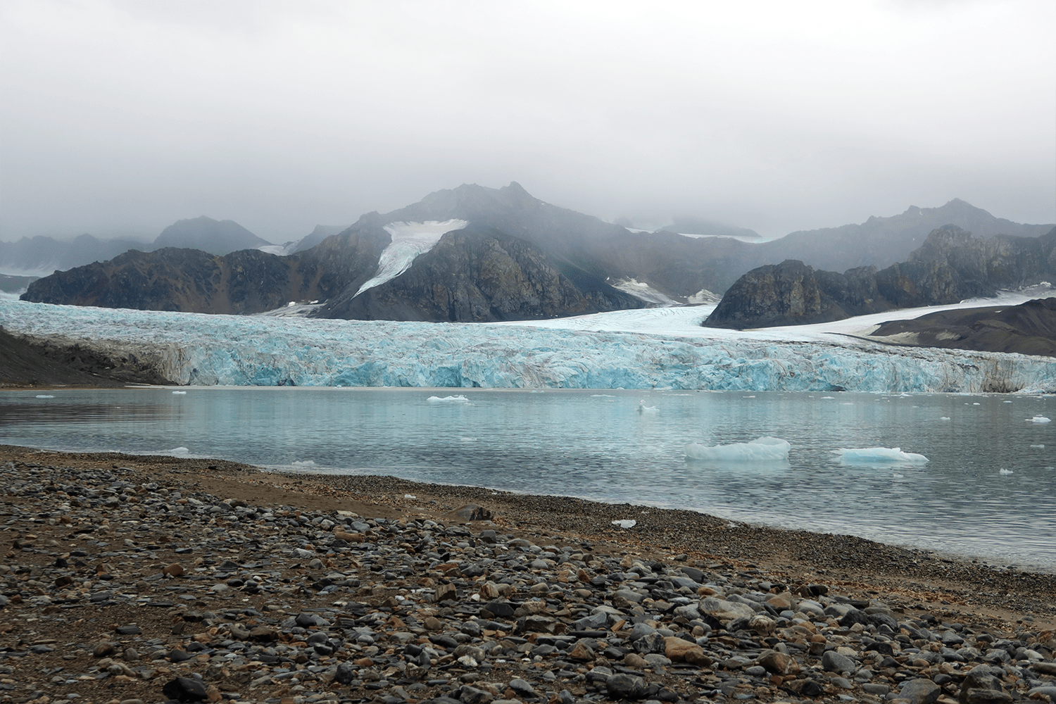 Polar bears are hardly the only thing on offer in Svalbard