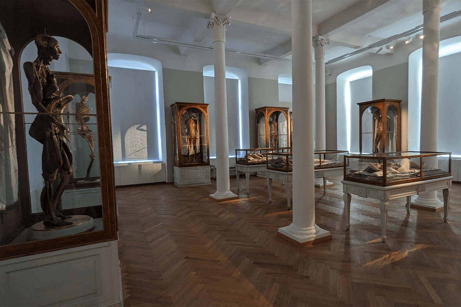 Room of full-size, wax-model bodies at Josephinum