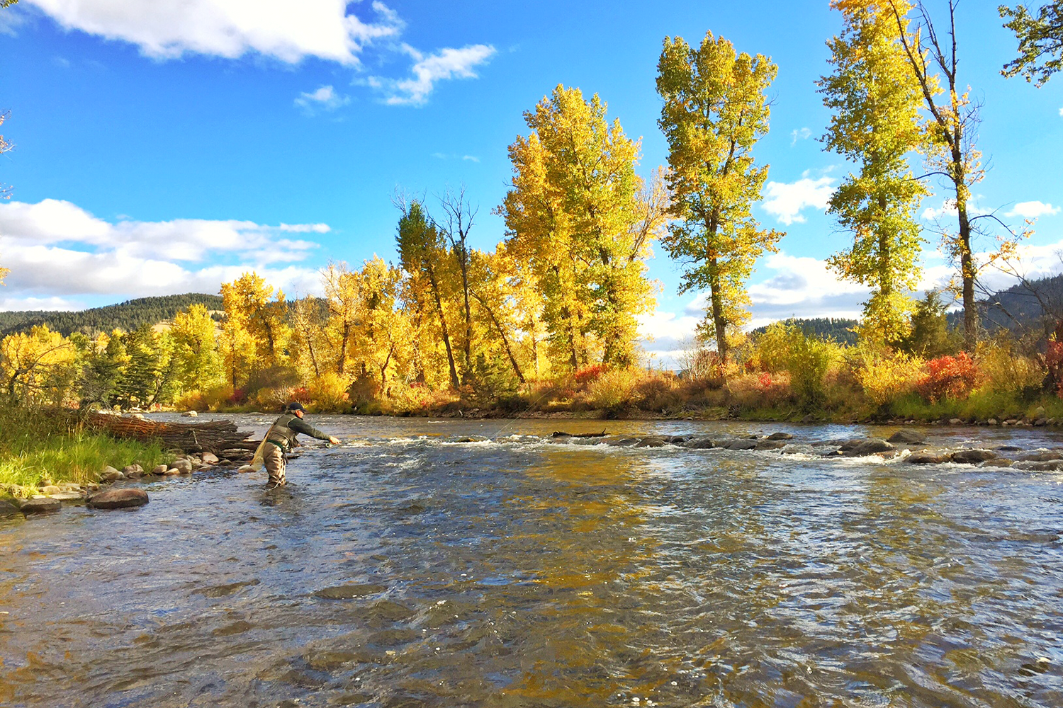 Fly fishing in the fall