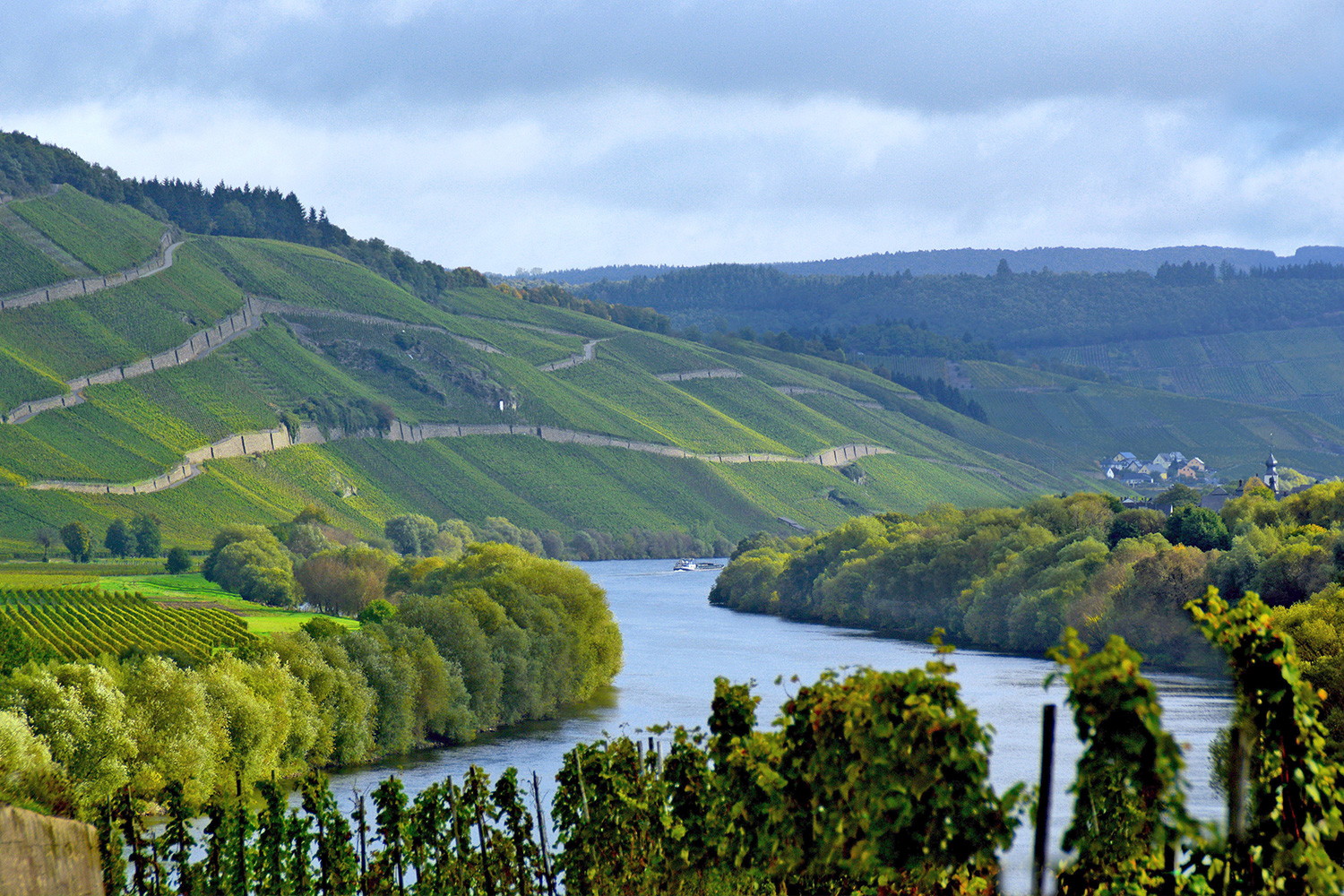 Brauneberg slope on the Mosel River