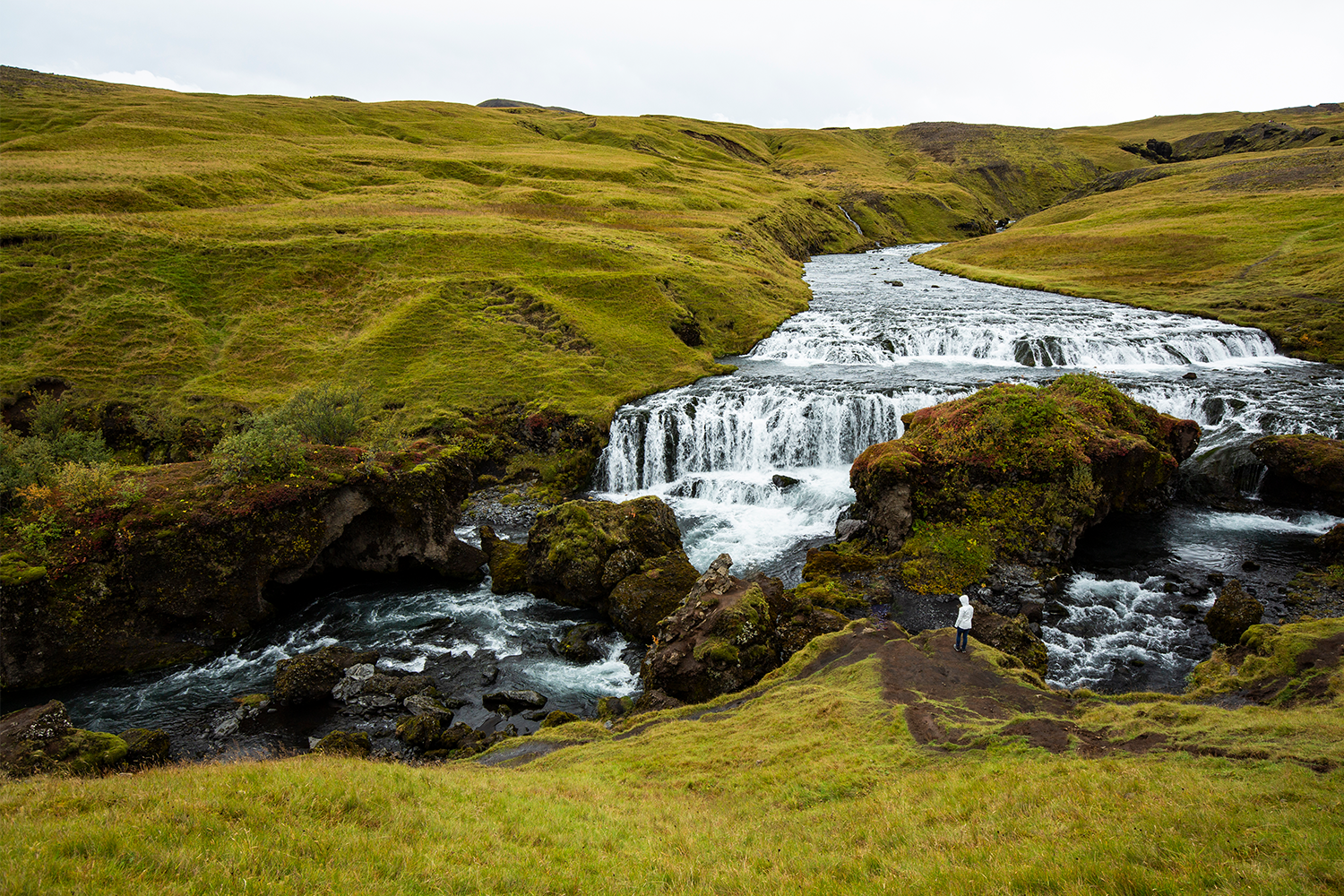 The Icelandic Hillside