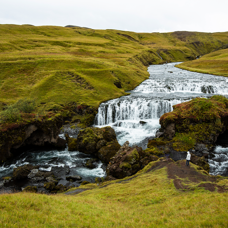 The Icelandic Hillside