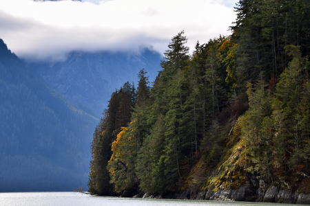 Homfray Channel near Klahoose Wilderness Resort