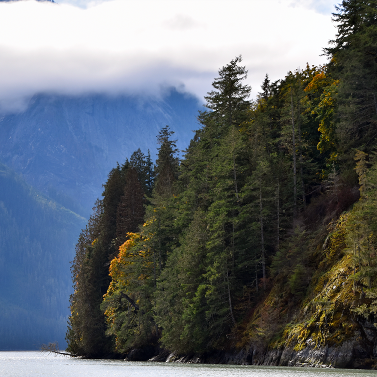 Homfray Channel near Klahoose Wilderness Resort