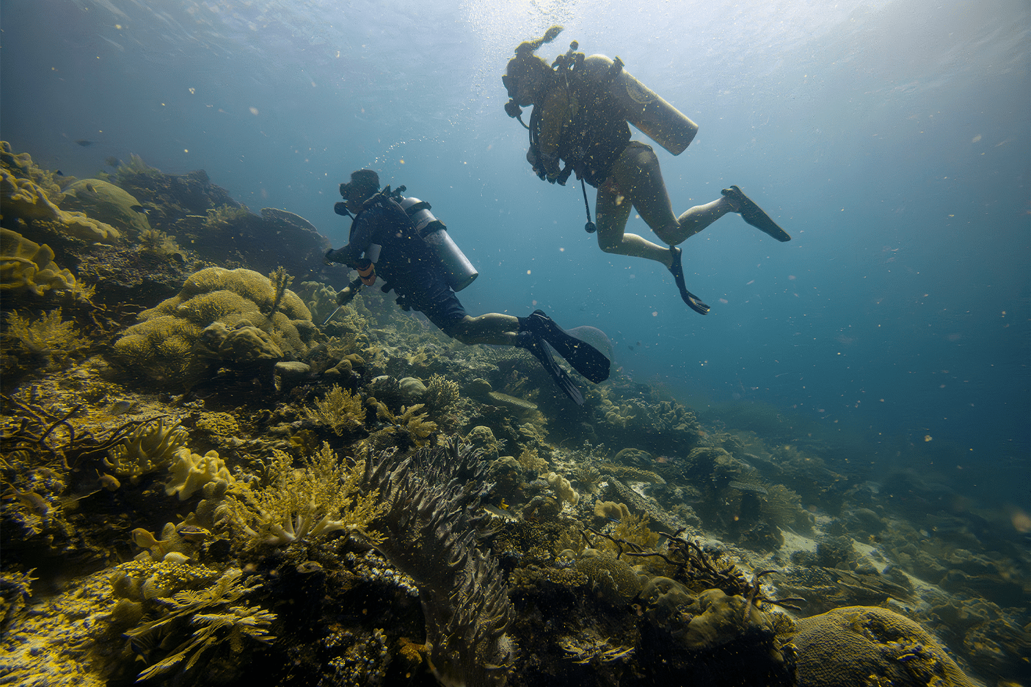 Scuba diving off the minuscule islet of Mioskon, where corals abound