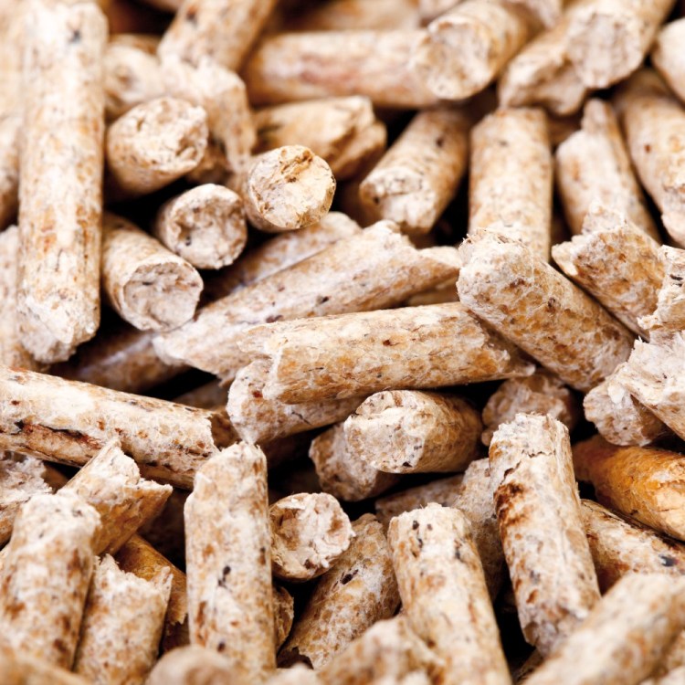 Wood pellets for biofuel